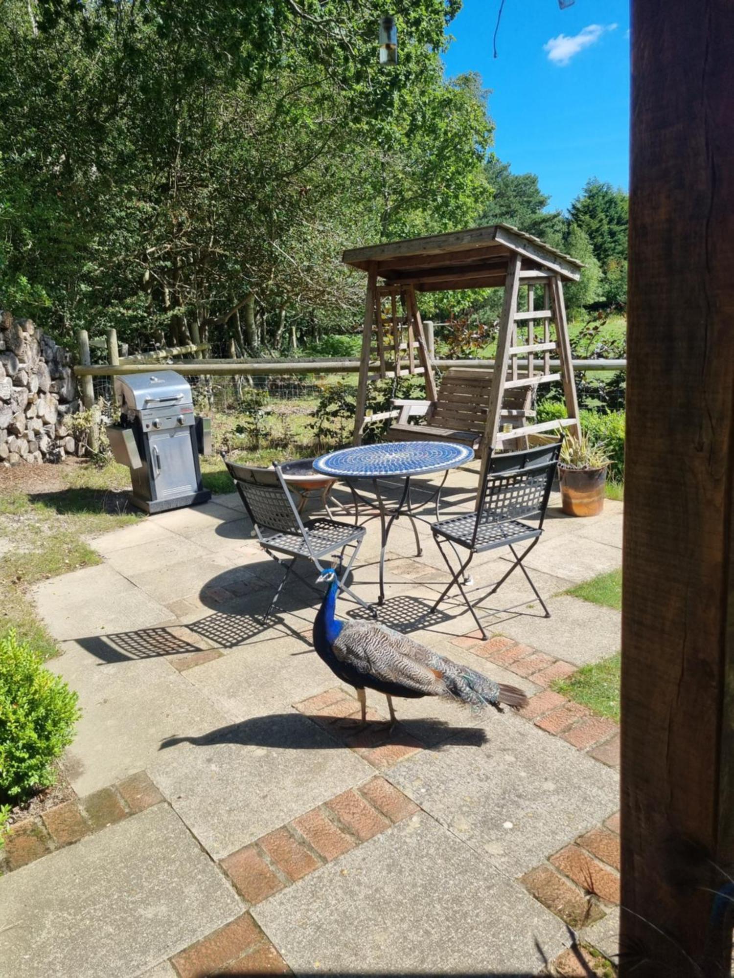 Sika Hut Villa Wareham Eksteriør billede