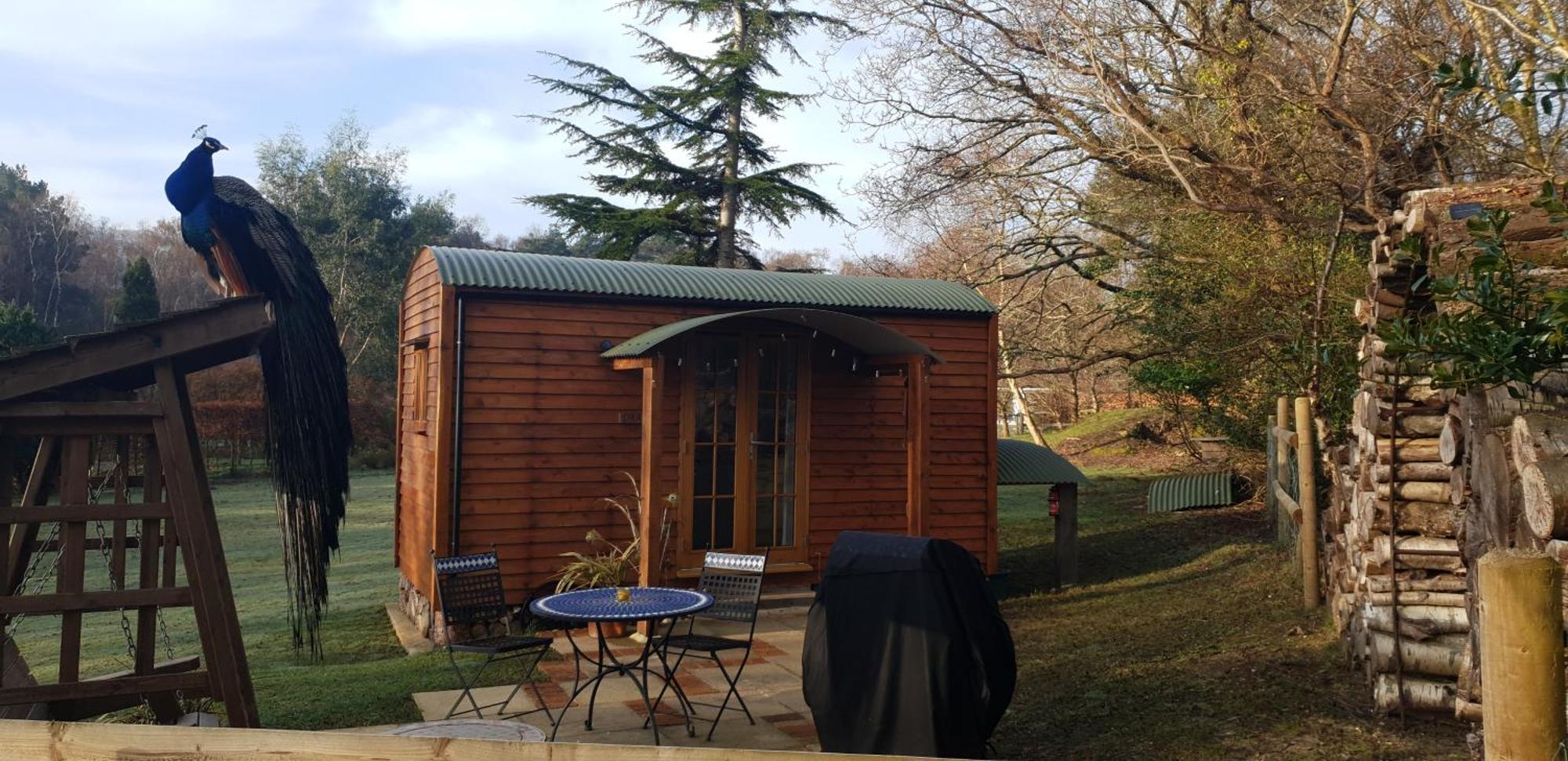 Sika Hut Villa Wareham Eksteriør billede